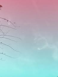 Bunga wallpaper warna warni buket hd layar lebar definisi. Wiwik Dwiraa Ghajj9 Profil Pinterest