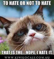 #grumpycat #meme for more grumpy cat stuff, gifts, and meme visit www.pinterest.com/erikakaisersot. Clean Memes