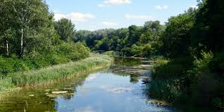 No to a lobau autobahn. Lobau Autobahn Wer Strassen Sat Wird Autos Ernten Fm4 Orf At