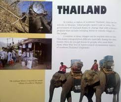 How books are brought to children around the world. Book Review My Librarian Is A Camel Children S Books More