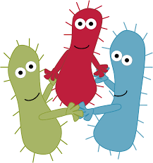 Image result for bacteria communicate
