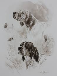 Dominique Pizon Dessin De Chien Peintures De Chien Dessin Chien