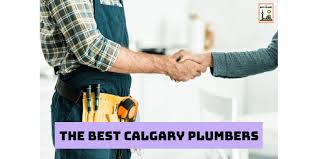 About his new pet and i told about. The 10 Best Calgary Plumbers For All Plumbing Jobs 2021
