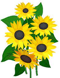Free Free 58 Clipart Sunflower Jpg SVG PNG EPS DXF File