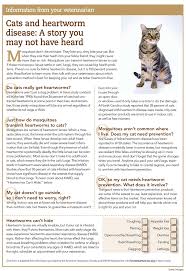 Whilst you're in a community the place your canine demands a heartworm preventative, then your cats ought to have it too. Parasites And Your Pet Holistic Veterinarian In Des Moines Ia