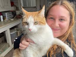 Husson Swimming & Diving (@hussonswimanddive) • Instagram photos and videos