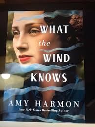 What are good historical fiction books about Ireland's civil war and unrest  from the turn of the century through the 1920s?