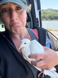 We're in Berkeley today doing pijucation!