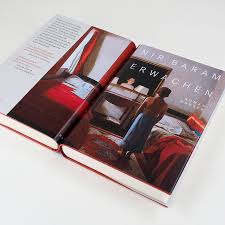 Deutschland erwacht, die neuen nazis; Erwachen Bucher Hanser Literaturverlage