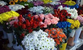El Significado Del Color De Las Flores En San Valentin Jardinatis