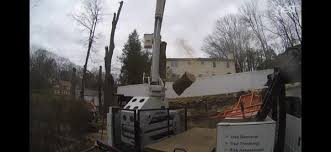See reviews, photos, directions, phone numbers and more for timberline tree service inc locations in burlingame, ca. Timberline Tree Landscape 172 W Nyack Rd West Nyack Ny Lawn Services Mapquest