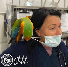 Qatar Veterinary Center added a...