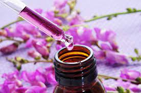 Willow is the essence for conciliation and forgiveness. Bach Flowers Remedies How Herbs Can Transform Your Life Paul Wagner
