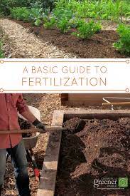 Learn The Do S Don Ts And Why S Of Fertilization In The Lawn And Garden Organic Gardening Pest Control Organic Gardening Garden Fertilizer