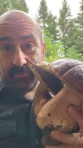 Identifying boletes in pacific northwest