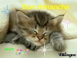 Résultat de recherche d'images pour "gif bon dimanche cafe"