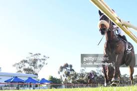 Image result for Handic 189