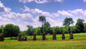 Image result for poze poienile izei maramures