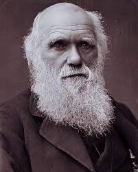June 30, 1817, Sir Joseph Dalton Hooker was born, one of the greatest  British botanists and explorers of the 19th century. Hooker was a founder  of geographical botany and Charles Darwin's closest