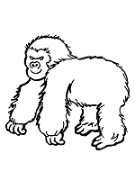 Mammals Coloring Pages 1 For Toddlers Preschool And Kindergarten Or go to a page on aardvarks. mammals coloring pages 1 for toddlers