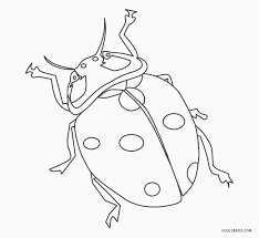 Download and print these ladybug printable coloring pages for free. Free Printable Ladybug Coloring Pages For Kids