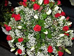 We did not find results for: Thearcticstar S Tales Baby S Breath Flowers Can Be Poisonous To Pets Sponsored
