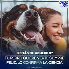 Karla Astudillo (@karlaitabella)