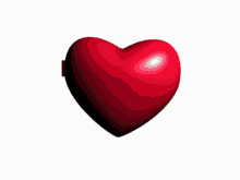 Share the best gifs now >>> Turtleduck Gifs Tenor