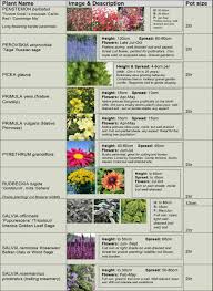 Great savings free delivery / collection on many items. Plants Bringing Plants To You From A Safe Distance Kehelland Trust
