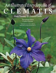 Clematis wilt causes the foliage and stems of your clematis vine to dry and whither, even turning them black. An Illustrated Encyclopedia Of Clematis Toomey Mary K Leeds Everett 9781604692037 Amazon Com Books