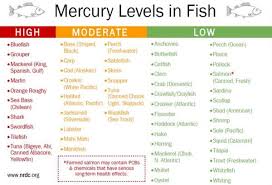 Fish Or No Fish The Facts About Mercury Levels In Fish