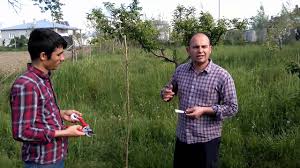 Pratik ve herkesin kolayca uygulayabileceği aşı önerileri. T Agac Goz Asisi Ne Zaman Ve Nasil Yapilir Yyu Prosedurel Ogrenme Youtube