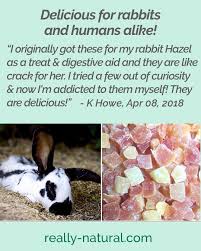 Find the best natural foods, supplements, treats and more. Tasty Healthy Papaya Dices Are Loved By Small Pets Plus Pet Parents Can Feel Good About Feeding A Low Sugar Sulfur Free D Small Pets Pet Parent Natural Pet