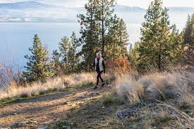 Will walking 10 miles a day lose weight? What Is The Average Number Of Steps Per Day