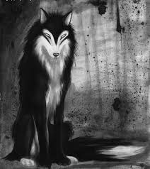 Dark Vs Light Wolf War Page 1 War Roleplays Guild Forums Wolf Photos Wolf Wolf Art
