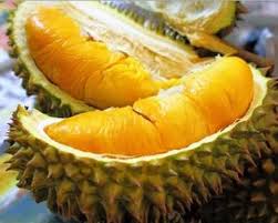 Mengatasi anemia dan permasalahan nya. 6 Jenis Durian Anda Mesti Cuba Dan Musim Durian Di Malaysia C Letsgoholiday My
