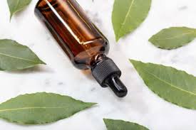 It strengthens thin and dull hair, providing strength and healthy gloss. The Incredible Benefits Of Bay Leaf Oil Step To Health