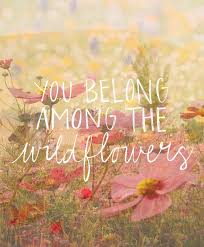 And now it could close, says debora porrà, the mayor of a nearby town. Happy Friday Blog Wild Flower Quotes Flower Quotes Friday Quotes Funny