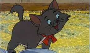 Does your cat often appear out of nowhere only to disappear all of sudden? Disney Cat Names 29 Unforgettable Characters 165 Name Ideas
