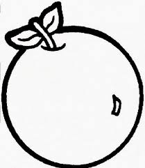 Gambar Kolase Buah Jeruk Gambar Sketsa Menggambar Sketsa