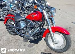 Image result for Dark Victory Red 1994 FLSTF