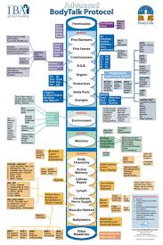 The Bodytalk System Advanced Protocol Poster Acupuncture