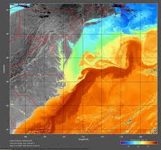 In popular conception the gulf stream also includes the florida current (between the straits of florida and cape Ocean Currents Ocean Pro Weather Gulf Stream Current