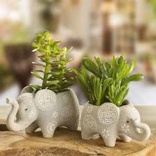 7 024 Begenme 56 Yorum Instagram Da Pasabahce Magazalari Pasabahcemagazalari Anneler Guzel Havalarla Birlikte Balkon In 2020 Flower Pots Elephant Pottery Decor