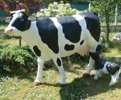 Vous avez la possibilité d'investir dans des vaches laitières montbéliardes, jersiaises, normandes, prim'holstein. Investir Dans Une Vache Oui Mais En Lamilatte Ou Laitiere Une Bonne Nouvelle Par Jour Le Blog D Ecureuil Bleu