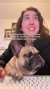 Dog Trying to Determine to Respond to An Email