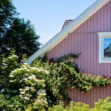 Hotel haus rosa cost depends on the season and prices can be much different basing on selected dates. Garten Rosa Haus Cutecottageoverload