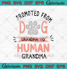 Download Promoted From Dog Grandma To Human Grandma Svg Png Eps Dxf Funny Mother S Day Svg Cricut Cameo File Silhouette Art Designs Digital Download