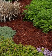 Adding a quality garden mulch can help enrich the soil, boost moisture retention, and block unsightly weeds. Mulch Must Knows Better Homes Gardens