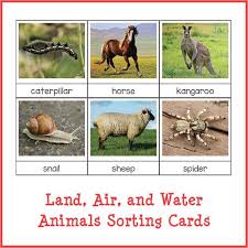Sorting Animals That Live On Land Air And Water Montessori Printable Water Animals Preschool Animals Live In Water Animal Lessons